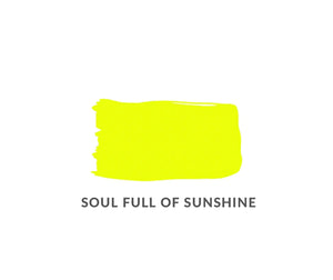 Soul Full of Sunshine