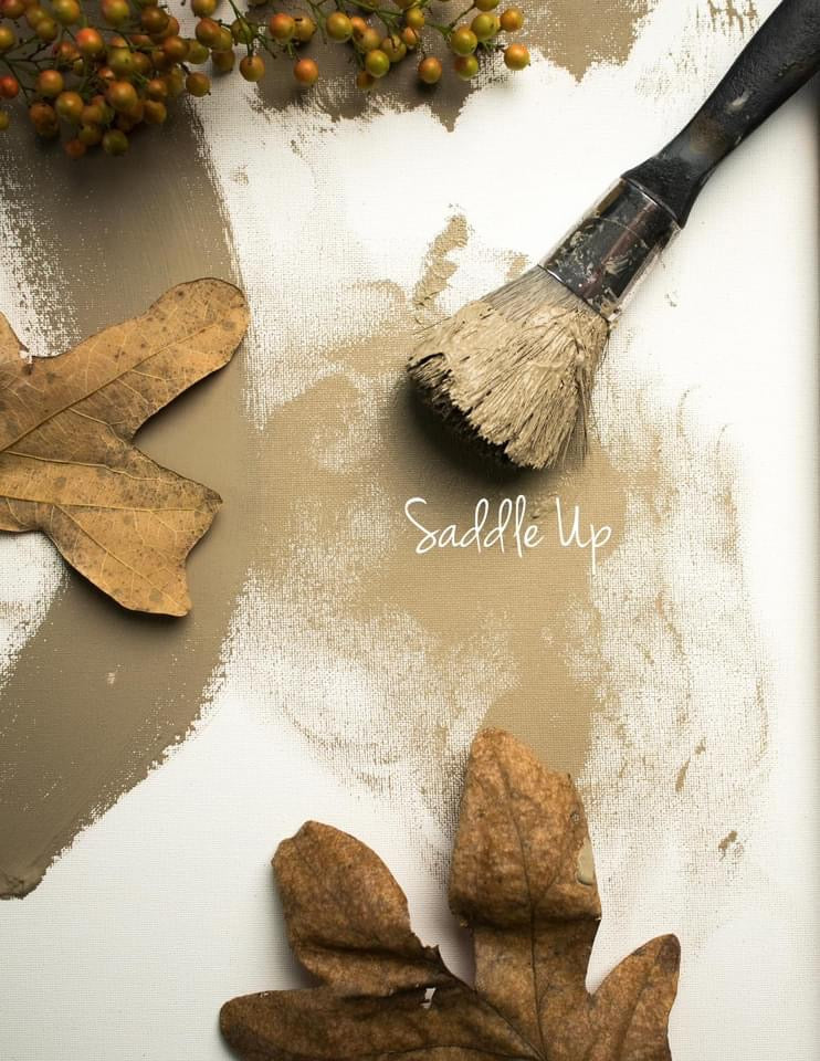 Saddle Up | Earthy Brown Clay and Chalk Paint