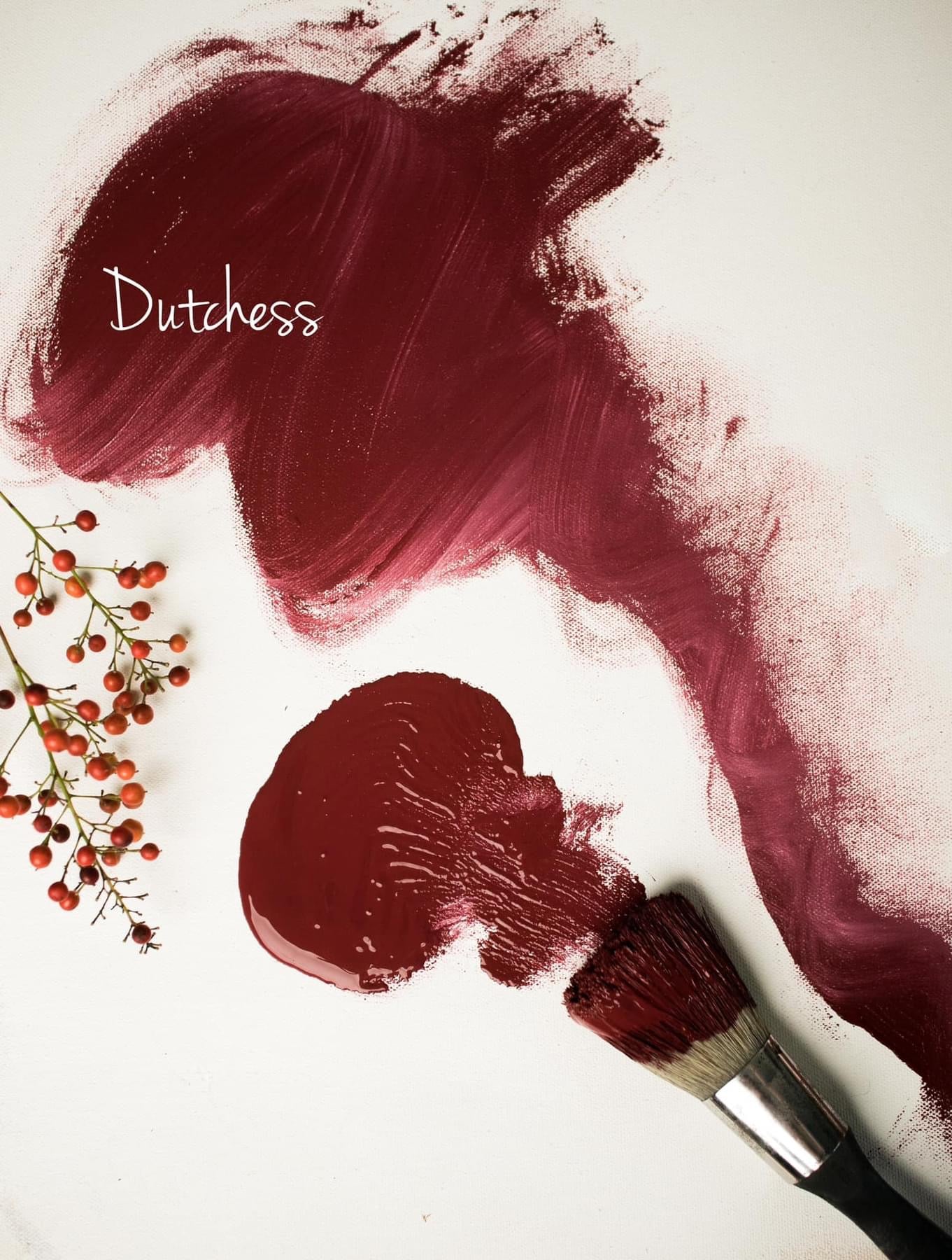 Dutchess | Rich Burgundy Red Clay and Chalk Paint