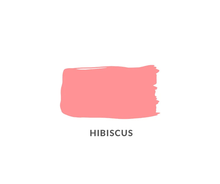 Hibiscus | Coral Pink Clay and Chalk Paint